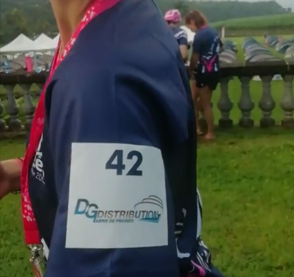 Le logo DG Distribution – SAV Abri de Piscine voyage